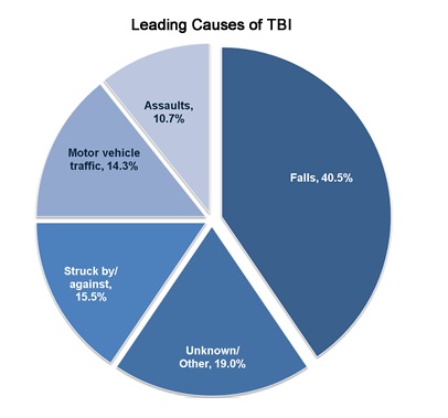 Leading Causes of Traumatic Brain Injury: Falls, Assaults, Struck by, Motor Vehicle